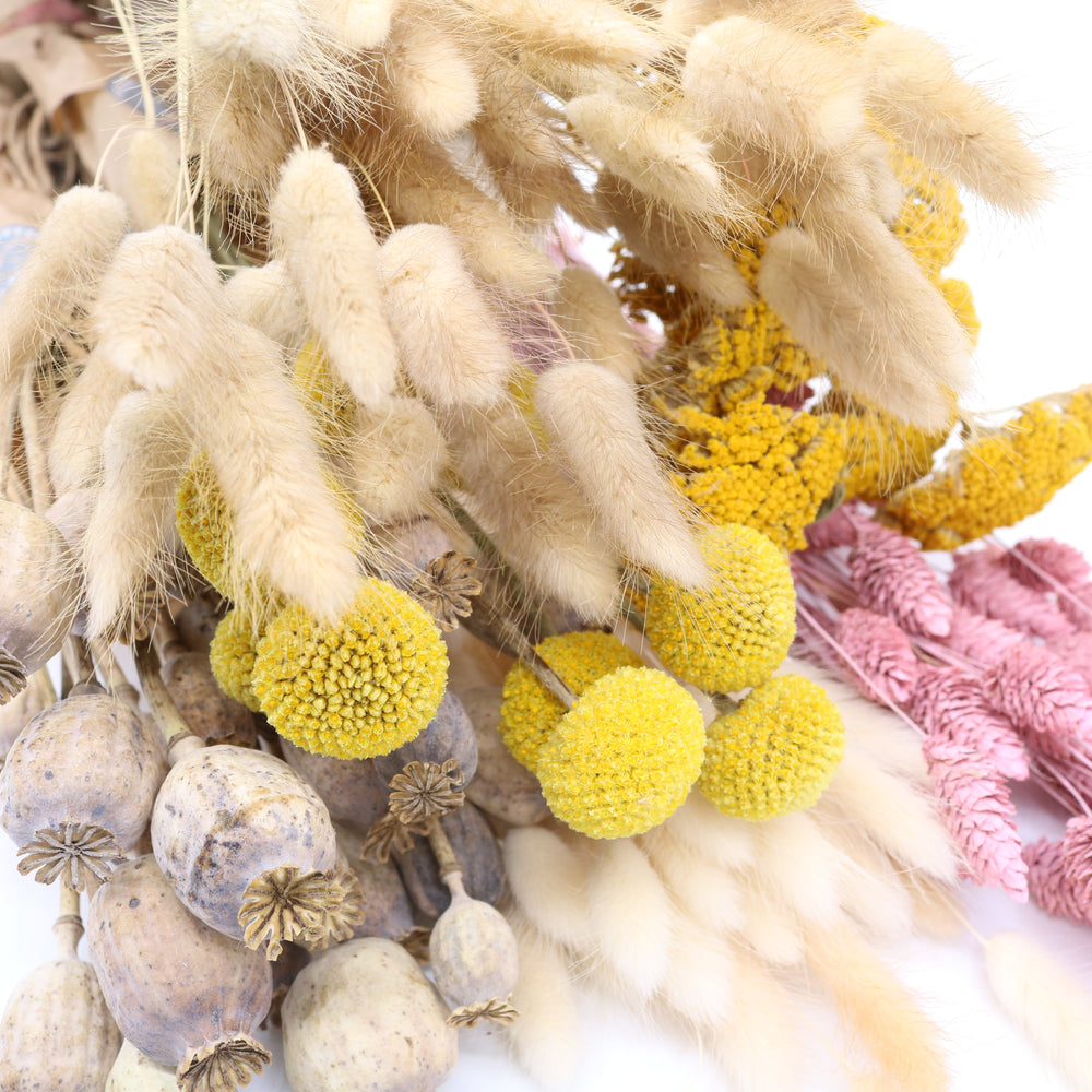Frühlingshafte Blumenpracht: Trockenblumen und Frischblumen für eine z